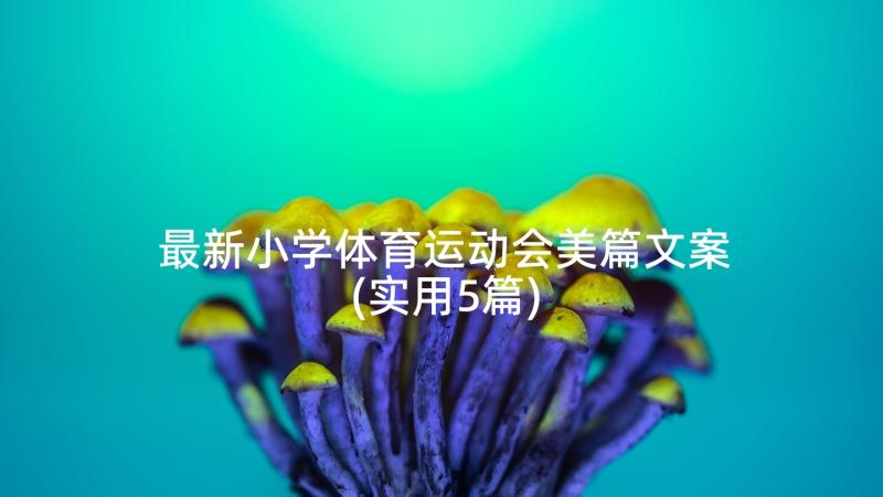 最新小学体育运动会美篇文案(实用5篇)