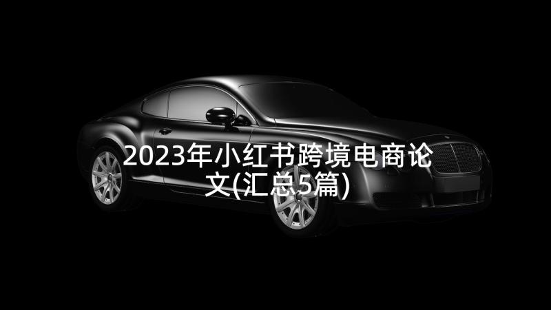 2023年小红书跨境电商论文(汇总5篇)