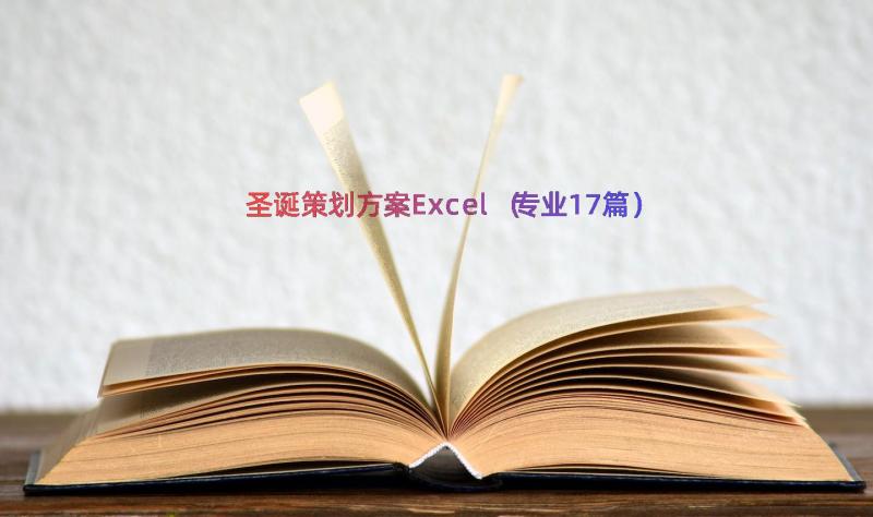 圣诞策划方案Excel（专业17篇）