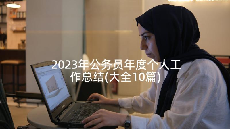 2023年公务员年度个人工作总结(大全10篇)