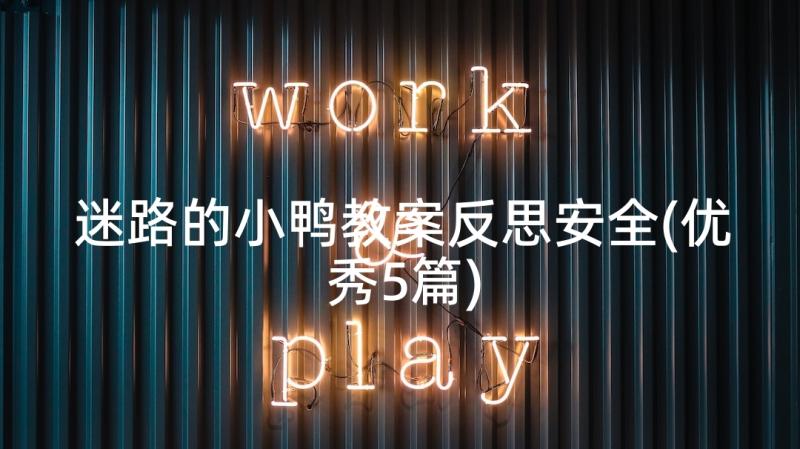 迷路的小鸭教案反思安全(优秀5篇)