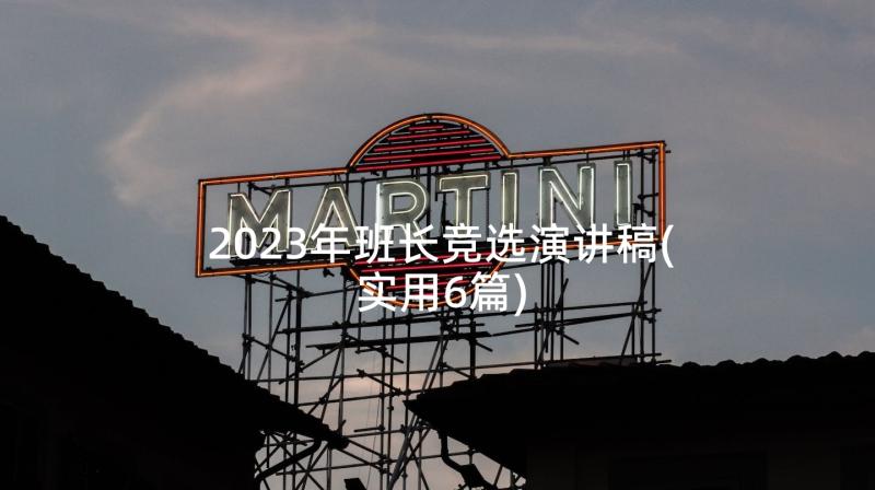 2023年班长竞选演讲稿(实用6篇)