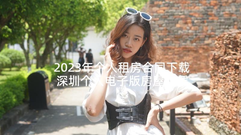 2023年个人租房合同下载 深圳个人电子版房屋租赁合同(模板8篇)