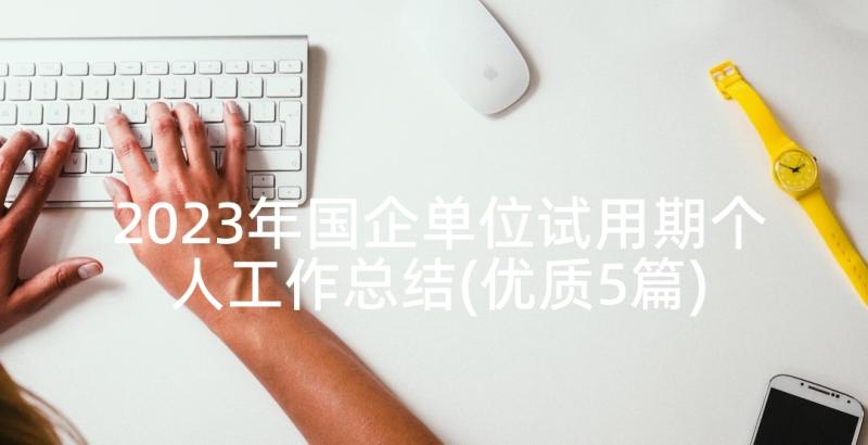 2023年国企单位试用期个人工作总结(优质5篇)