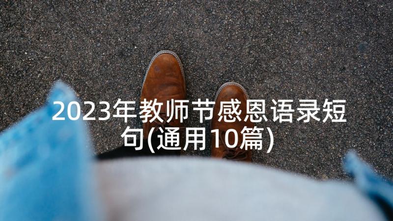 2023年教师节感恩语录短句(通用10篇)