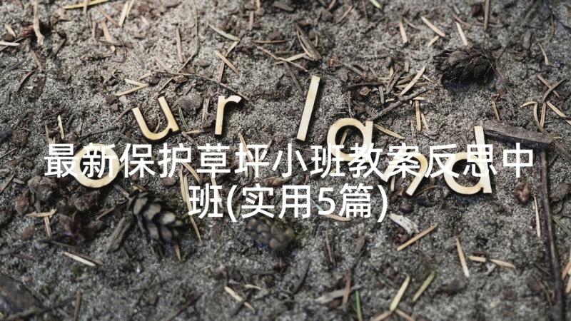 最新保护草坪小班教案反思中班(实用5篇)