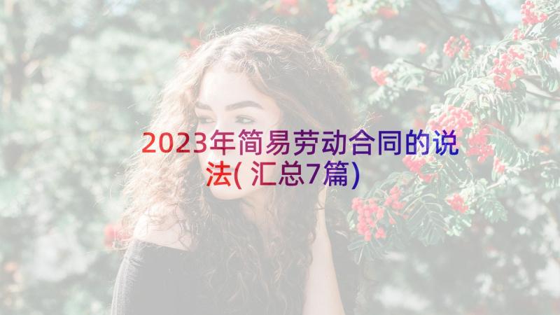 2023年简易劳动合同的说法(汇总7篇)