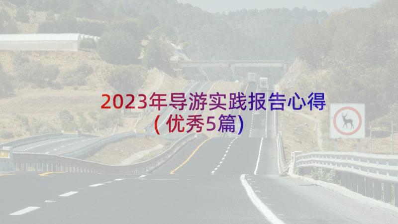 2023年导游实践报告心得(优秀5篇)