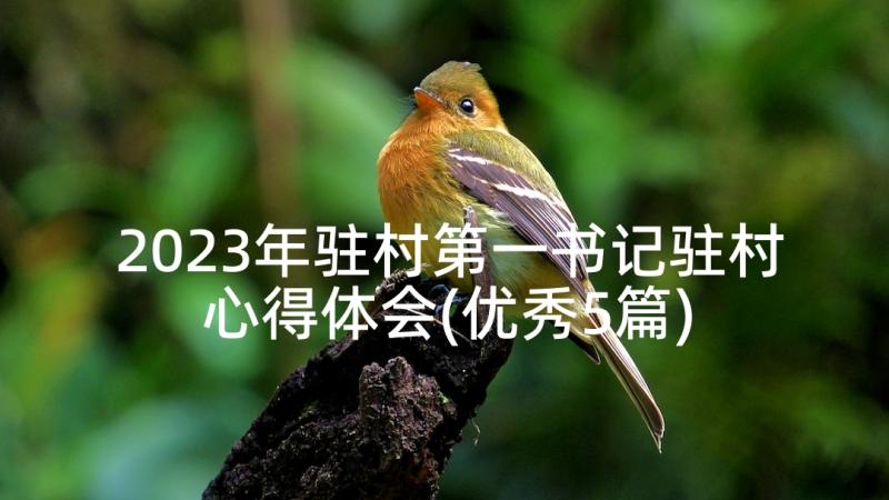 2023年驻村第一书记驻村心得体会(优秀5篇)