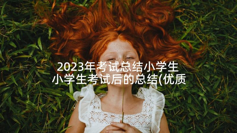 2023年考试总结小学生 小学生考试后的总结(优质10篇)