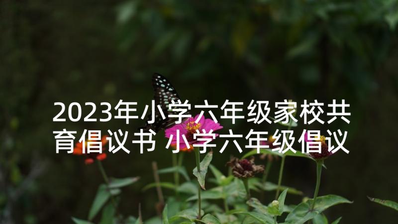 2023年小学六年级家校共育倡议书 小学六年级倡议书(优质7篇)