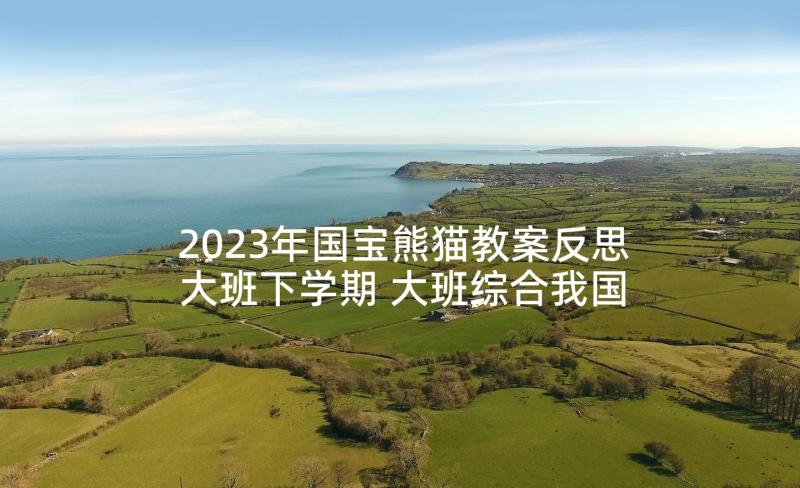 2023年国宝熊猫教案反思大班下学期 大班综合我国的国宝大熊猫教案(优质5篇)