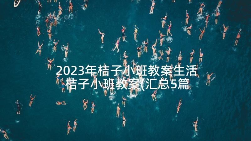 2023年桔子小班教案生活 桔子小班教案(汇总5篇)