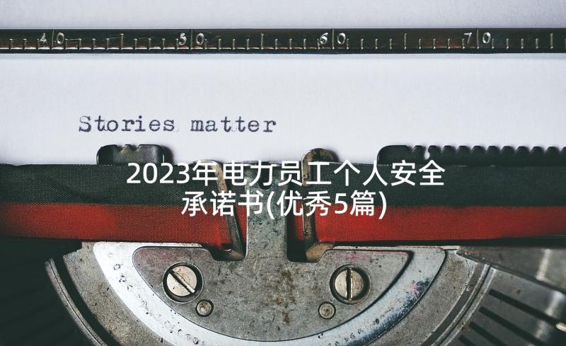 2023年电力员工个人安全承诺书(优秀5篇)