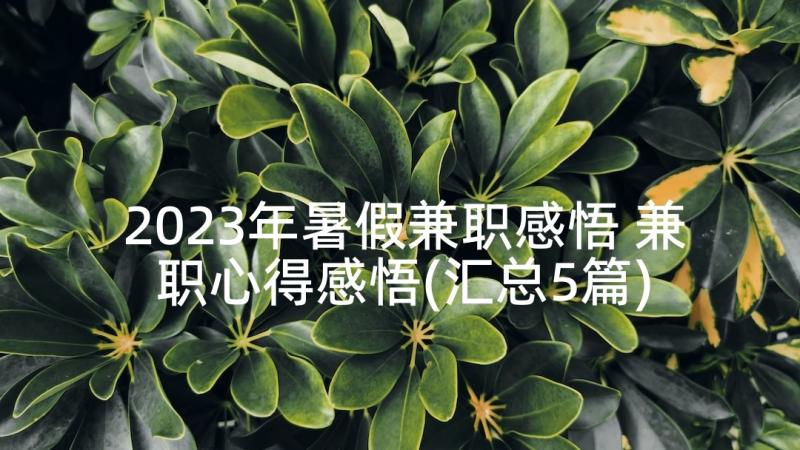 2023年暑假兼职感悟 兼职心得感悟(汇总5篇)