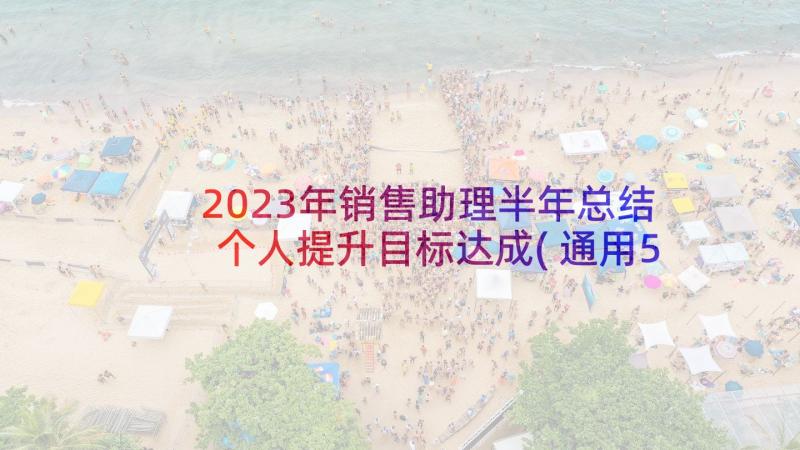 2023年销售助理半年总结个人提升目标达成(通用5篇)