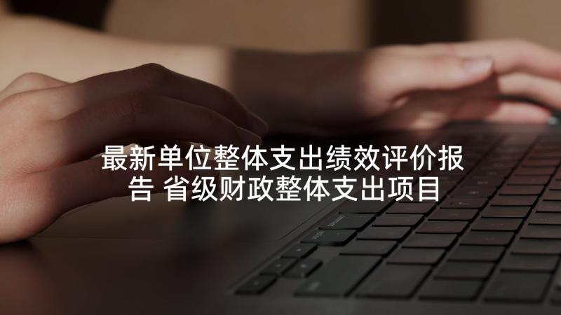 最新单位整体支出绩效评价报告 省级财政整体支出项目绩效自评报告(精选5篇)