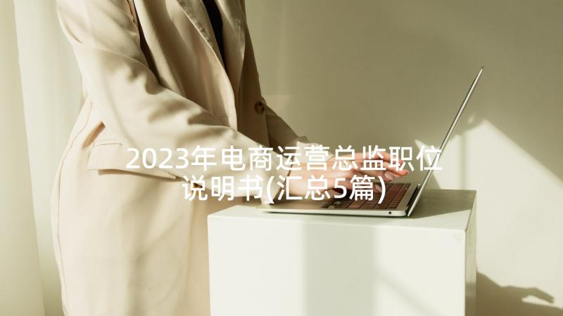 2023年电商运营总监职位说明书(汇总5篇)