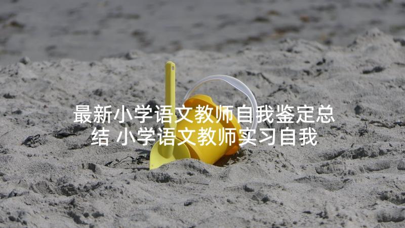 最新小学语文教师自我鉴定总结 小学语文教师实习自我鉴定(模板5篇)