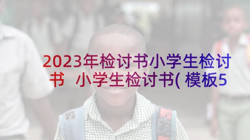 2023年检讨书小学生检讨书 小学生检讨书(模板5篇)