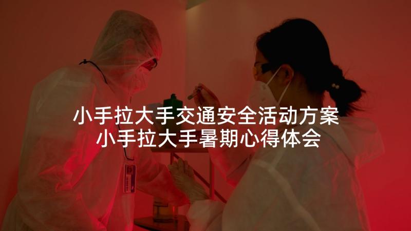 小手拉大手交通安全活动方案 小手拉大手暑期心得体会(通用8篇)