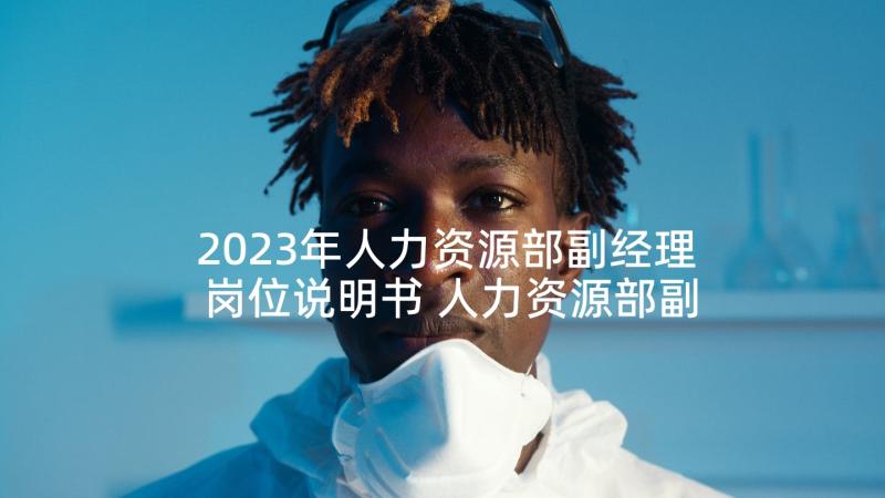 2023年人力资源部副经理岗位说明书 人力资源部副经理岗位职责概述(优秀5篇)