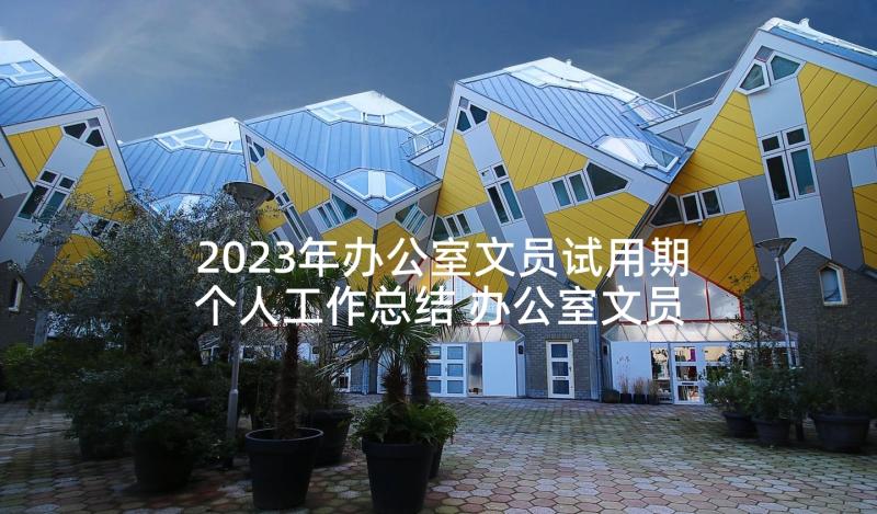 2023年办公室文员试用期个人工作总结 办公室文员个人试用期工作总结(实用5篇)