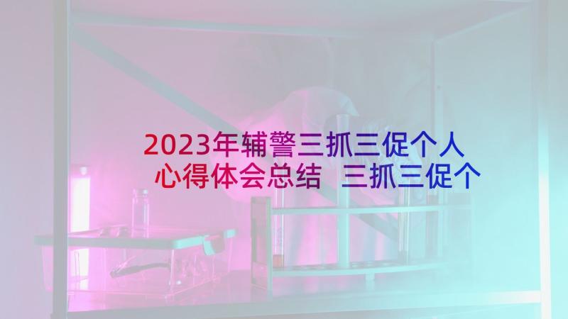 2023年辅警三抓三促个人心得体会总结 三抓三促个人心得体会(精选9篇)