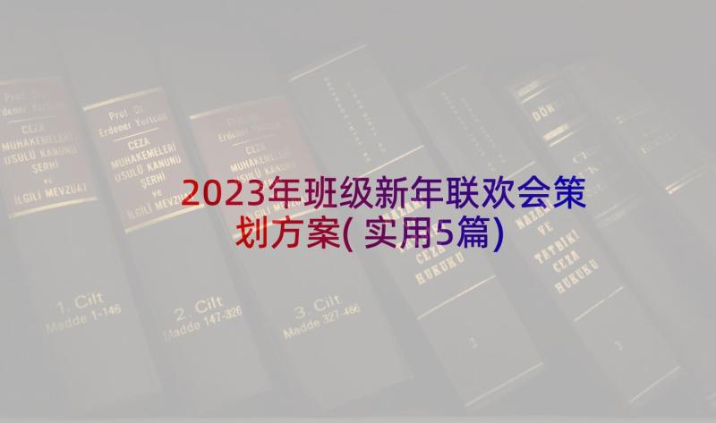 2023年班级新年联欢会策划方案(实用5篇)