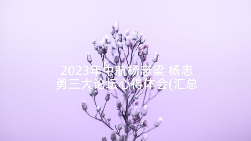 2023年中航杨志梁 杨志勇三大论坛心得体会(汇总8篇)