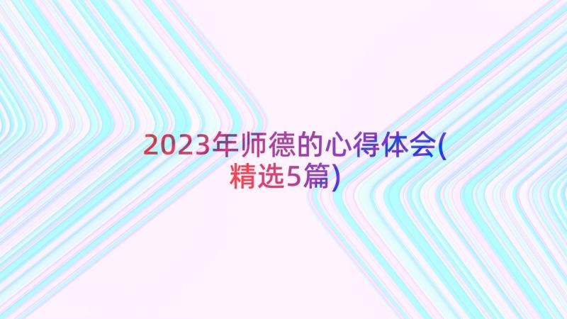 2023年师德的心得体会(精选5篇)