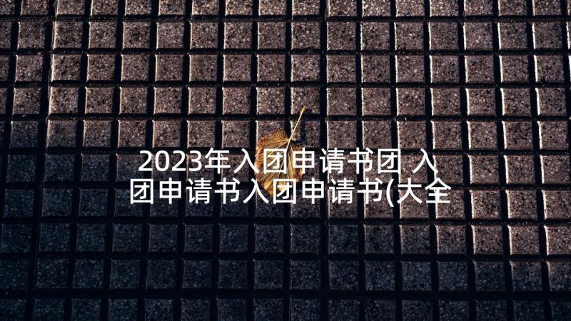 2023年入团申请书团 入团申请书入团申请书(大全10篇)