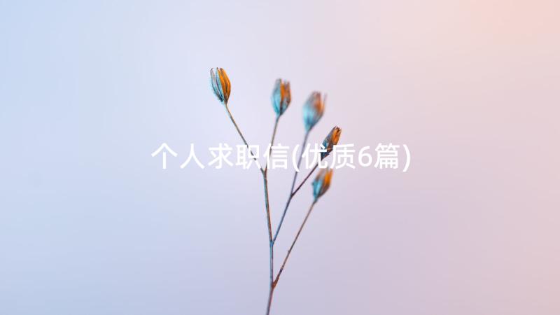 个人求职信(优质6篇)