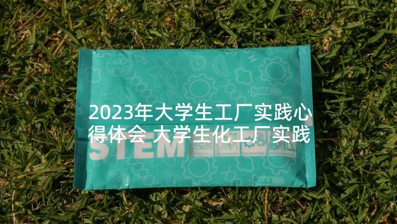 2023年大学生工厂实践心得体会 大学生化工厂实践心得(精选5篇)