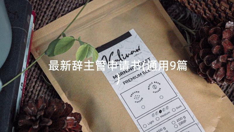 最新辞主管申请书(通用9篇)