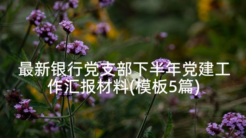 最新银行党支部下半年党建工作汇报材料(模板5篇)