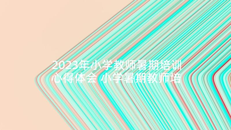 2023年小学教师暑期培训心得体会 小学暑期教师培训心得体会(模板9篇)