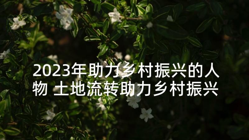 2023年助力乡村振兴的人物 土地流转助力乡村振兴事迹(汇总5篇)