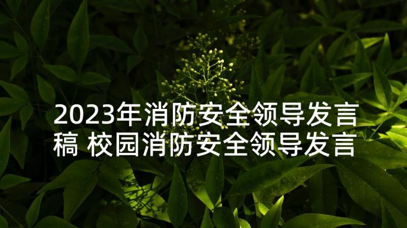 2023年消防安全领导发言稿 校园消防安全领导发言稿(汇总5篇)