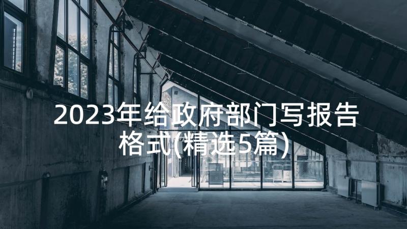 2023年给政府部门写报告格式(精选5篇)