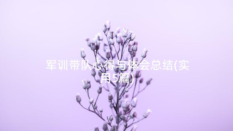 军训带队心得与体会总结(实用5篇)