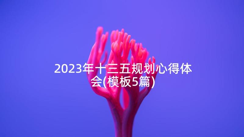 2023年十三五规划心得体会(模板5篇)