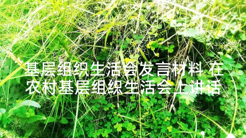 基层组织生活会发言材料 在农村基层组织生活会上讲话(精选5篇)