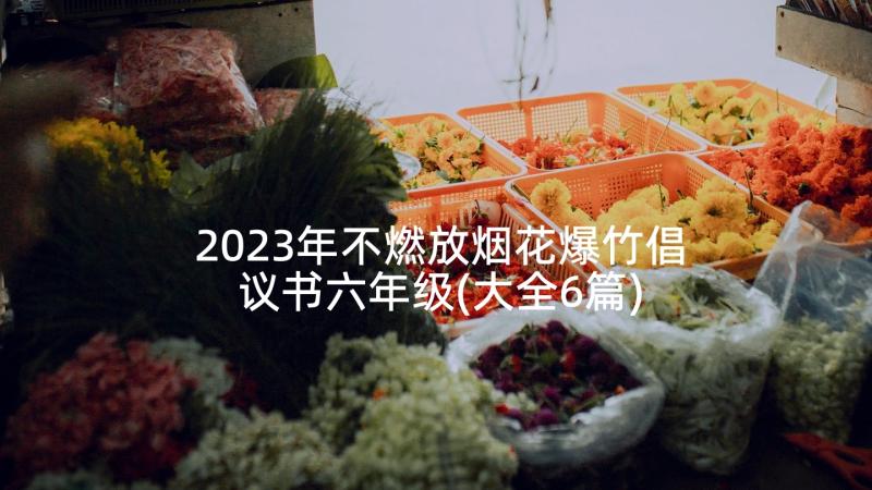 2023年不燃放烟花爆竹倡议书六年级(大全6篇)