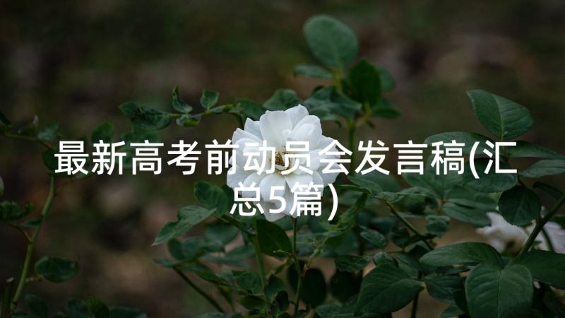 最新高考前动员会发言稿(汇总5篇)