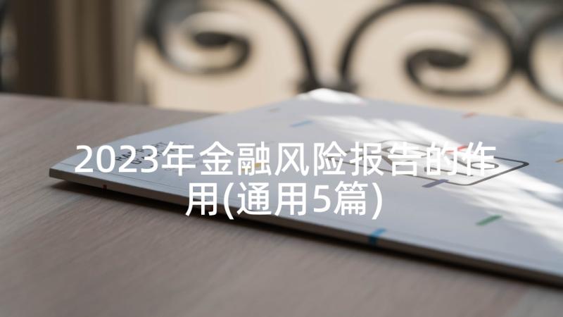 2023年金融风险报告的作用(通用5篇)