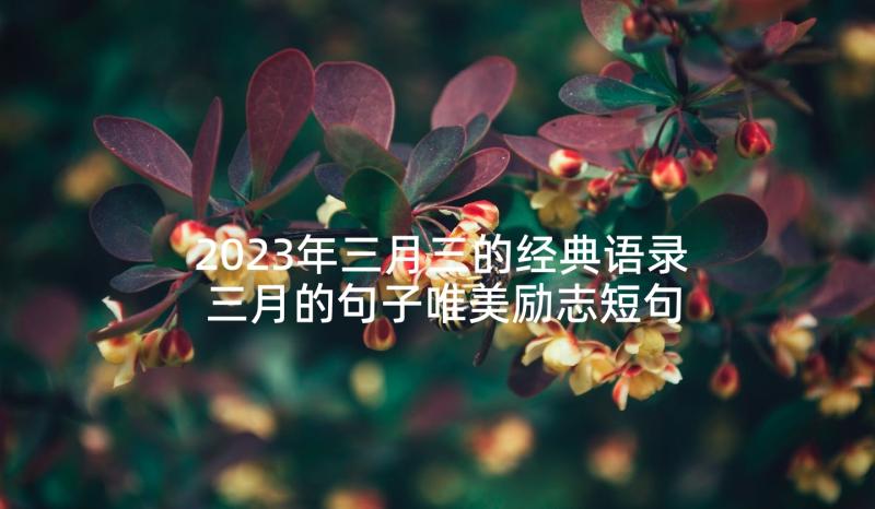 2023年三月三的经典语录 三月的句子唯美励志短句(模板9篇)