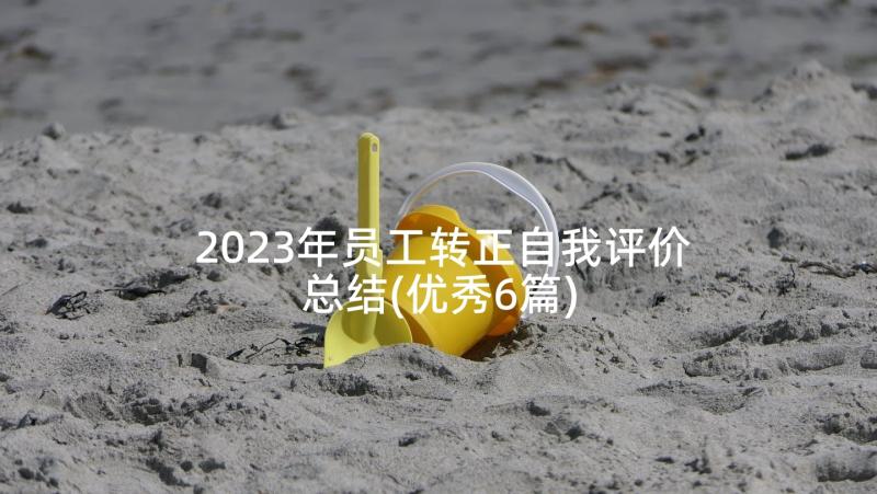 2023年员工转正自我评价总结(优秀6篇)