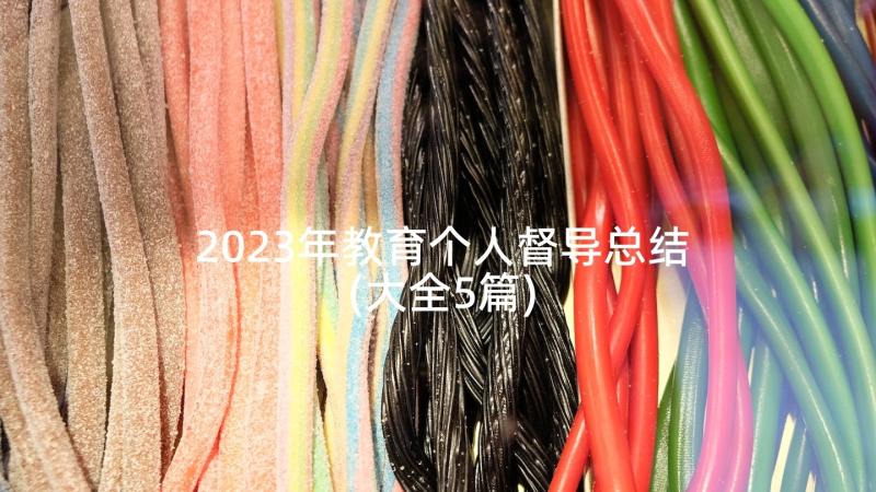 2023年教育个人督导总结(大全5篇)