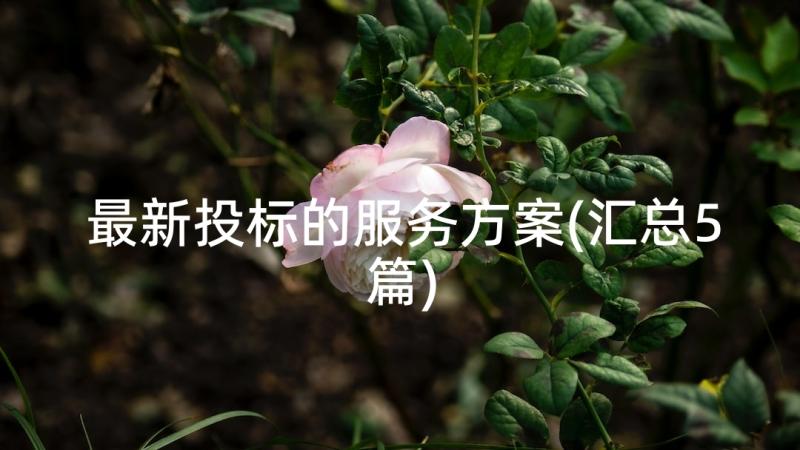 最新投标的服务方案(汇总5篇)